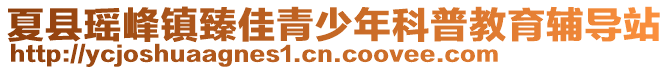 夏县瑶峰镇臻佳青少年科普教育辅导站