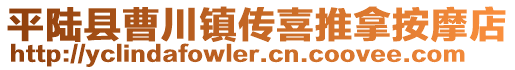 平陸縣曹川鎮(zhèn)傳喜推拿按摩店