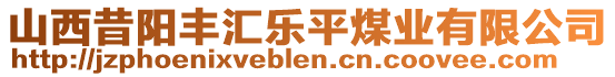 山西昔陽豐匯樂平煤業(yè)有限公司