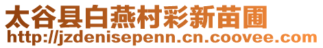 太谷縣白燕村彩新苗圃