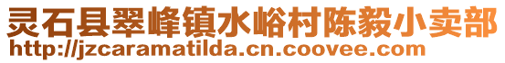 靈石縣翠峰鎮(zhèn)水峪村陳毅小賣部