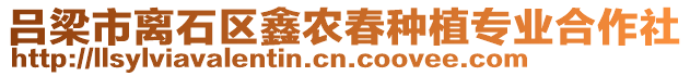 呂梁市離石區(qū)鑫農(nóng)春種植專業(yè)合作社