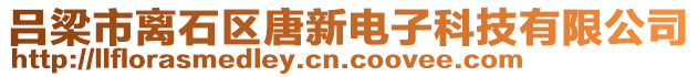 呂梁市離石區(qū)唐新電子科技有限公司