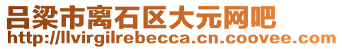呂梁市離石區大元網吧