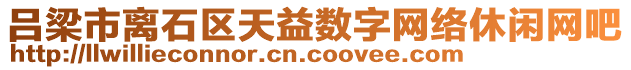 呂梁市離石區(qū)天益數(shù)字網(wǎng)絡(luò)休閑網(wǎng)吧