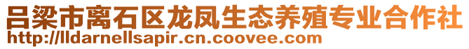 呂梁市離石區龍鳳生態養殖專業合作社