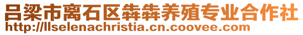 呂梁市離石區(qū)犇犇養(yǎng)殖專業(yè)合作社