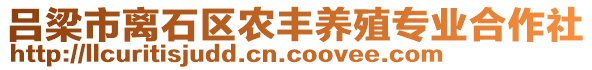 呂梁市離石區(qū)農(nóng)豐養(yǎng)殖專業(yè)合作社