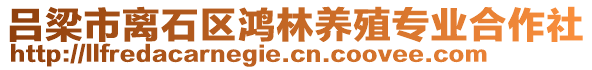 呂梁市離石區(qū)鴻林養(yǎng)殖專業(yè)合作社