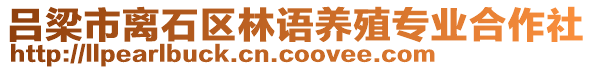 呂梁市離石區(qū)林語(yǔ)養(yǎng)殖專業(yè)合作社