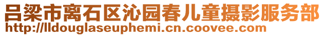 呂梁市離石區沁園春兒童攝影服務部