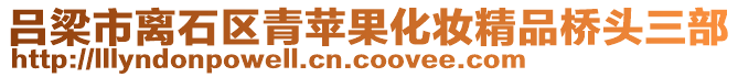 呂梁市離石區(qū)青蘋果化妝精品橋頭三部