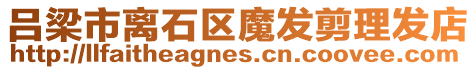呂梁市離石區(qū)魔發(fā)剪理發(fā)店