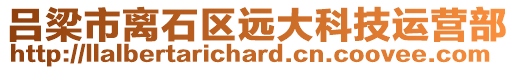 呂梁市離石區(qū)遠(yuǎn)大科技運(yùn)營(yíng)部