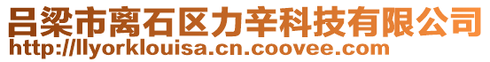 呂梁市離石區(qū)力辛科技有限公司
