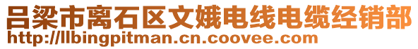 呂梁市離石區(qū)文娥電線電纜經(jīng)銷部