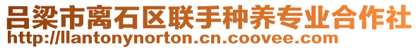 呂梁市離石區(qū)聯(lián)手種養(yǎng)專業(yè)合作社