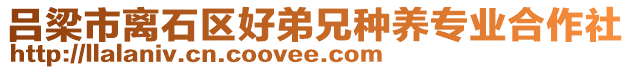 呂梁市離石區(qū)好弟兄種養(yǎng)專業(yè)合作社