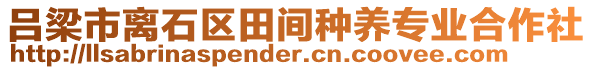 呂梁市離石區(qū)田間種養(yǎng)專業(yè)合作社