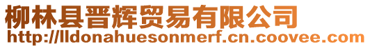 柳林縣晉輝貿易有限公司