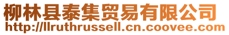 柳林縣泰集貿易有限公司