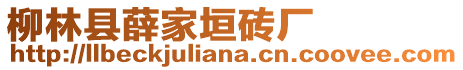 柳林縣薛家垣磚廠