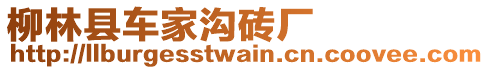 柳林縣車家溝磚廠