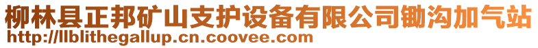 柳林縣正邦礦山支護設備有限公司鋤溝加氣站