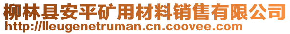 柳林縣安平礦用材料銷(xiāo)售有限公司