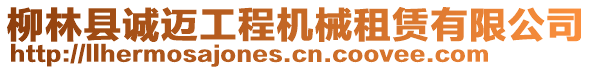 柳林縣誠(chéng)邁工程機(jī)械租賃有限公司