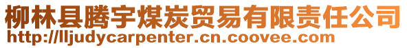 柳林縣騰宇煤炭貿(mào)易有限責(zé)任公司