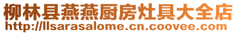 柳林縣燕燕廚房灶具大全店