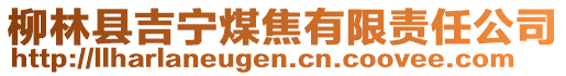 柳林縣吉寧煤焦有限責任公司