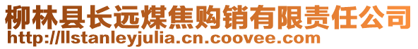 柳林縣長遠煤焦購銷有限責任公司
