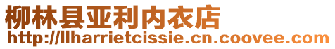 柳林縣亞利內(nèi)衣店