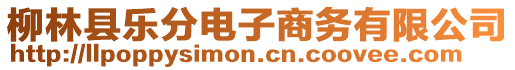柳林縣樂分電子商務有限公司