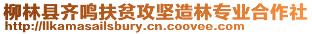 柳林縣齊鳴扶貧攻堅造林專業合作社
