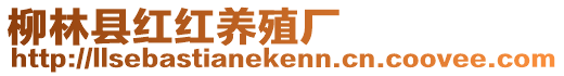 柳林縣紅紅養(yǎng)殖廠