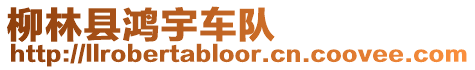 柳林縣鴻宇車隊(duì)