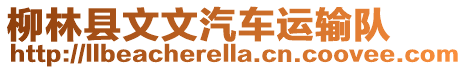 柳林縣文文汽車運輸隊