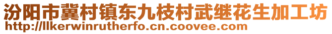 汾陽市冀村鎮(zhèn)東九枝村武繼花生加工坊