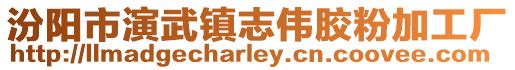 汾阳市演武镇志伟胶粉加工厂