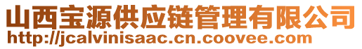 山西寶源供應(yīng)鏈管理有限公司