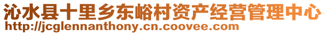 沁水縣十里鄉(xiāng)東峪村資產(chǎn)經(jīng)營(yíng)管理中心