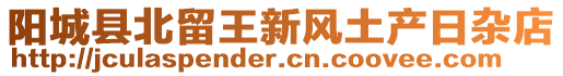 陽城縣北留王新風(fēng)土產(chǎn)日雜店