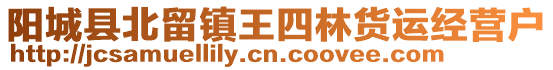陽城縣北留鎮王四林貨運經營戶