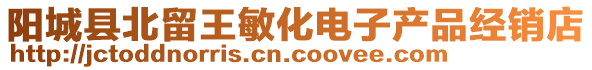 陽(yáng)城縣北留王敏化電子產(chǎn)品經(jīng)銷店