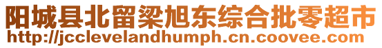 陽城縣北留梁旭東綜合批零超市