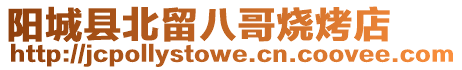 陽城縣北留八哥燒烤店