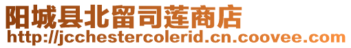 陽城縣北留司蓮商店